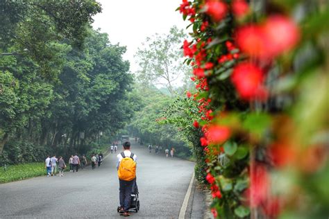 Baiyun Mountain - Picture of Guangzhou, Guangdong - TripAdvisor
