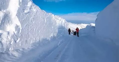 极寒天气致新疆阿勒泰7名工人遇难，500米距离竟成人生中最远的路|新疆|阿勒泰|天气_新浪新闻