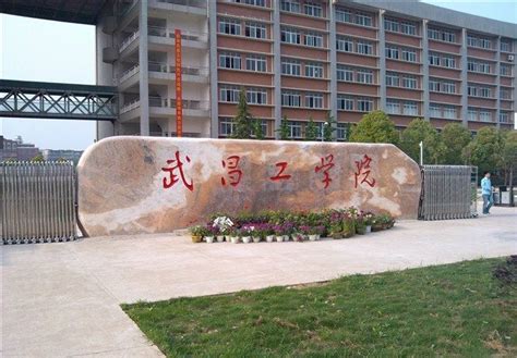 武汉的这些大学名字，真的混淆不清，网友，名字像绕口令|武汉工程科技学院|大学|武汉_新浪新闻