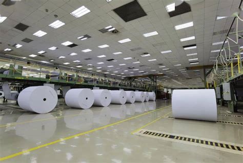 无驱动顶网成型器大幅提升美利云纸业产品质量-造纸技术与文献保护