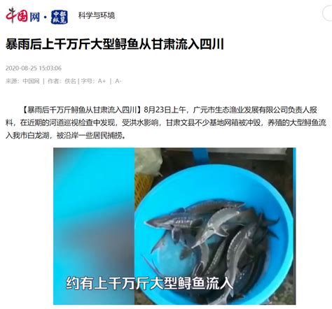 放流中华鲟 2019年长江口珍稀水生生物增殖放流活动日前在长江口水域举行