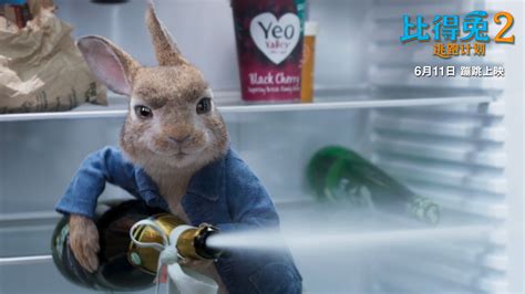 《比得兔2：逃跑计划》票房破亿 口碑领跑成周末家庭观影之选 - 360娱乐，你开心就好