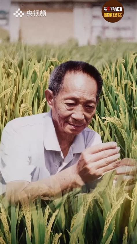 袁隆平逝世一周年：珍惜每一粒粮食，继续传承和接力 - 知乎