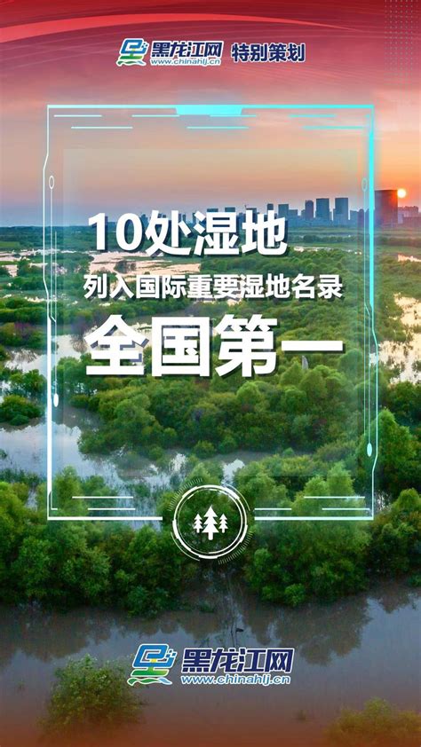 中国这十年 · 黑龙江丨非凡十年 龙江有数-大河网