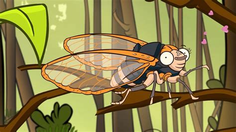 了不起的小虫子第一季 第09集“高音歌唱家” 蝉
