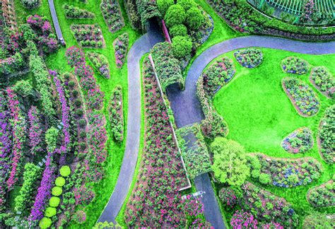 辰山植物园月季园获“世界优秀月季园”称号--松江报