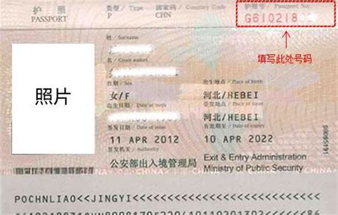 《大陆居民往来台湾通行证》与护照号码位置