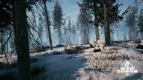 开放世界生存游戏《冬日幸存者》抢先体验发布_3DM单机