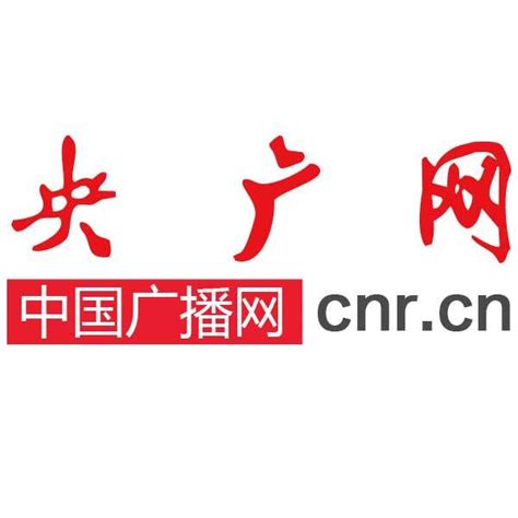 中国网络电视台CNTV标志logo设计理念和寓意_设计公司是哪家 -艺点创意商城