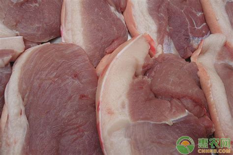 猪肉价格连涨19个月后首次转降！现在猪肉价格多少钱一斤？ - 惠农网