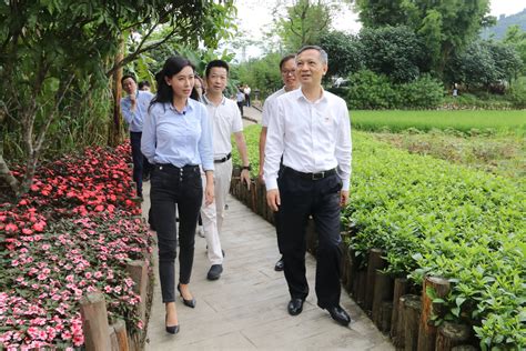 张硕辅：广州要在全省乡村振兴中当好示范和表率-荔枝网