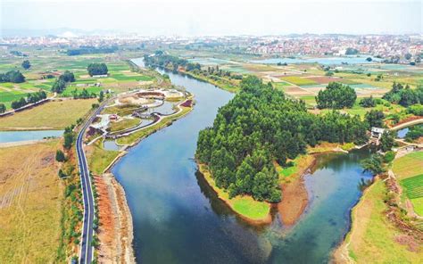 水头防洪工程政策处理清零 3个月完成征地1746亩_平阳新闻网