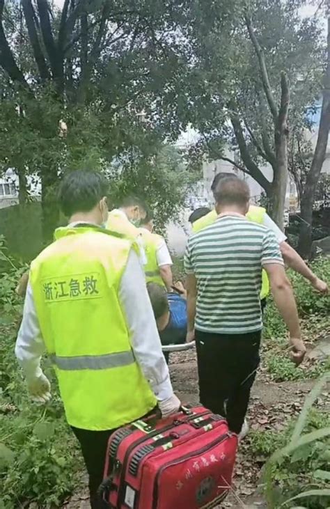 温州120一周接四起摘杨梅坠树警情，其中两人心跳呼吸停止