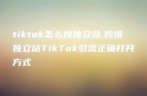 tiktok怎么接独立站,跨境独立站TikTok引流正确打开方式 - DTCStart