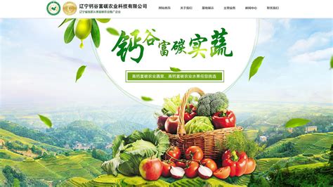 农副产品 电商海报设计图__海报设计_广告设计_设计图库_昵图网nipic.com