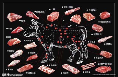 鉴赏|卢浮宫里的“牛”：牛的神话，牛的崇拜，牛的驯养 | 中国书画展赛网