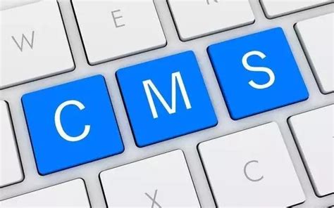 如何鉴别一个网站用的是什么CMS建站程序？-茹莱神兽