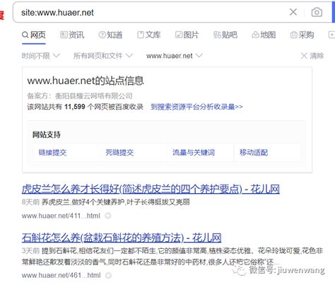 冯耀宗：关于site查询的误区和site在seo优化应用中的小技巧！-猎富团