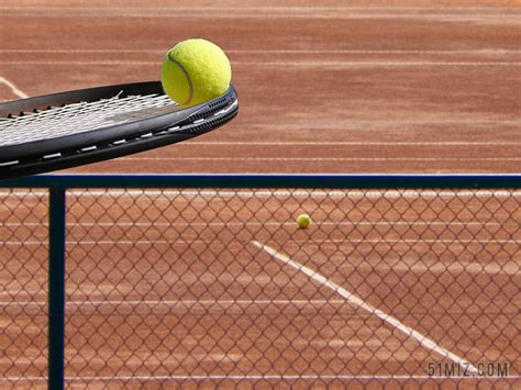 网球运动图片大全-网球运动高清图片下载-觅知网