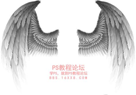 圣洁的天使白色羽毛翅膀特效合成2正版超高清4k商用授权视频素材下载(编号:D9XmPGojOwB9ct)-新片场素材