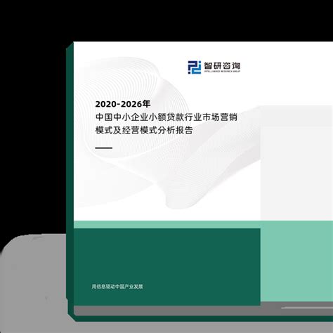 2020-2026年中国中小企业小额贷款行业市场营销模式及经营模式分析报告_智研咨询_产业信息网