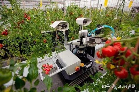 解放农民双手？AI机器人如此颠覆农业生产！ - 知乎