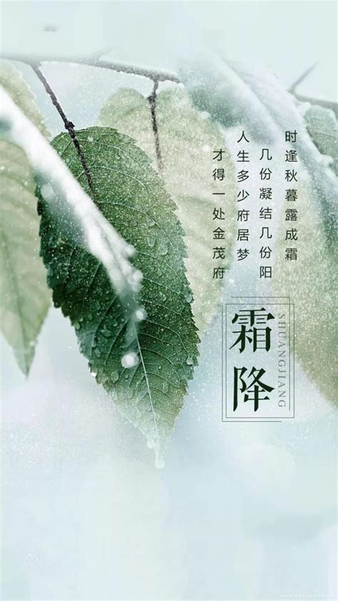 描写小雪的经典古诗词句大全_日历网