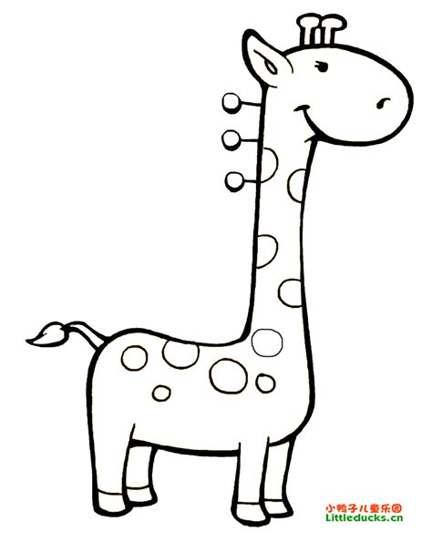 长颈鹿动物简笔画简笔画_长颈鹿动物简笔画图片欣赏_长颈鹿动物简笔画儿童画画作品-有伴网