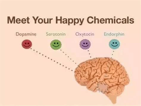 让人快乐的是多巴胺还是内啡肽