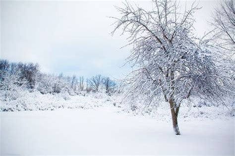 【蜂摄天下——新疆雪景，白雪皑皑中的静寂之美摄影图片】风光摄影_太平洋电脑网摄影部落