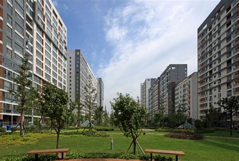 开元 上城、八一小区荣获2009年度市级“花园式小区”称号_开元集团