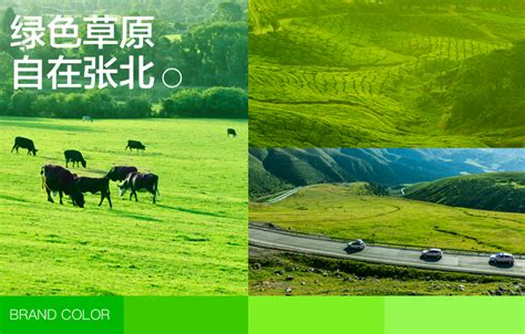 张北县设计全记录·感受轻旅游与慢时光平面设计_Alibaba Design设计作品--致设计