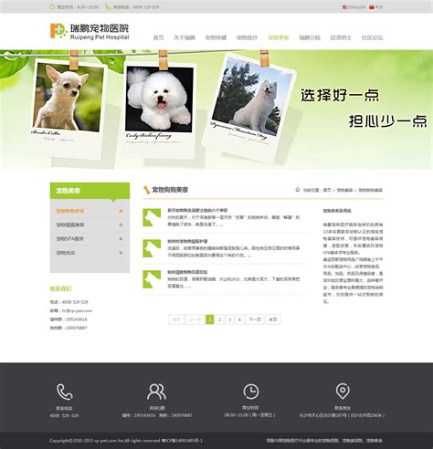 网页设计/宠物医院|website|corporation homepage|Annabella_TT_Original作品-站酷ZCOOL