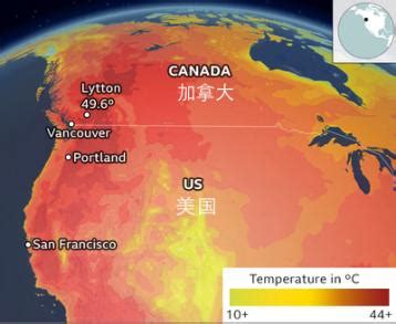 热热热！加拿大气温逼近50度，4天内233人死亡