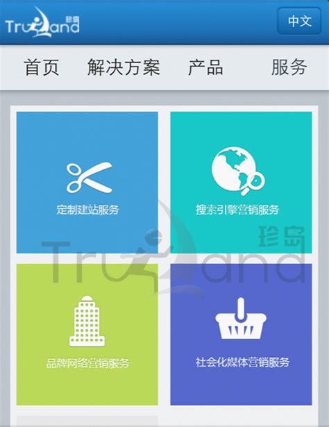网站建设上海珍岛(上海珍岛公司干嘛的) - 杂七乱八 - 源码村资源网