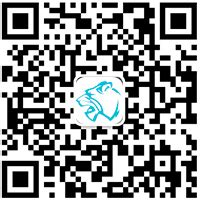 案例 - 迅虎网络支付平台官方网站
