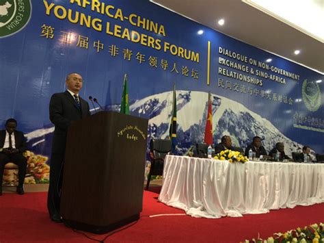抓住机遇，共创美好未来---中国驻坦经济商务代表林治勇在中非投资论坛上的讲话