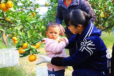 【怀孕吃桔子会影响宝宝皮肤吗】8个月宝宝吃橘子有什么问题吗_橘子_小胡生活网
