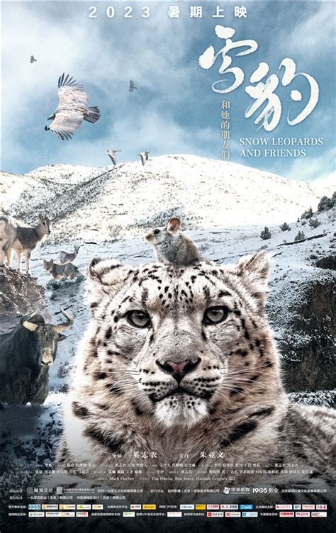 万玛才旦导演作品《雪豹》入围第80届威尼斯国际电影节 - 8月- 中国美术学院官网