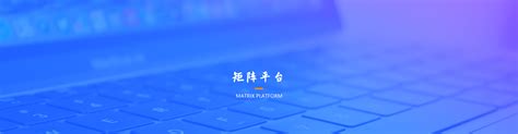 矩阵平台 吉林东新网络科技股份有限公司