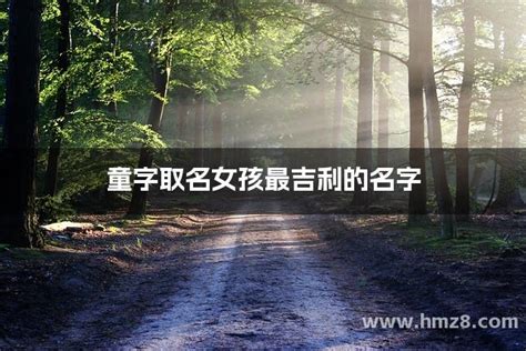 公司免费自动取名网（在线公司免费取名大全）_老南宁财税服务平台