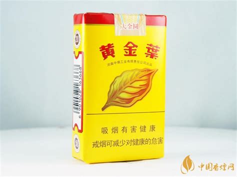 黄金叶大金圆 - 香烟品鉴 - 烟悦网论坛