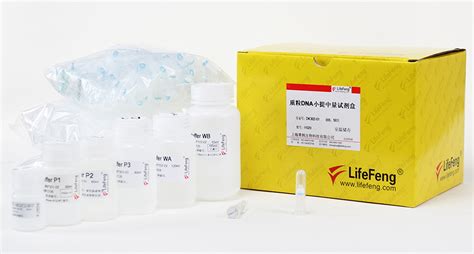 质粒DNA小提中量试剂盒--上海莱枫生物科技有限公司