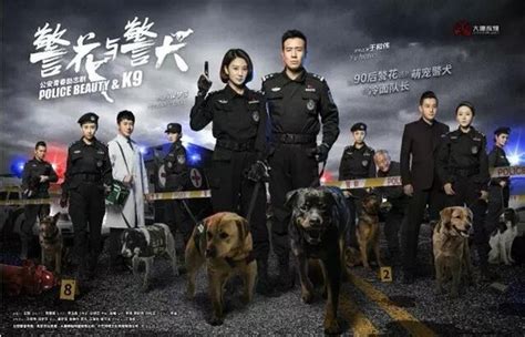 七小汪警犬队：警校第一遇上忠诚警犬，他们能否成为最亲密的战友_腾讯视频
