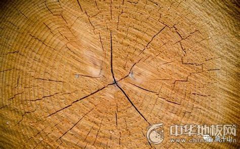 木材开裂的原因和解决措施