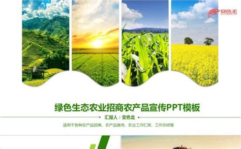 绿色农产品画册图片_画册_编号12982332_红动中国