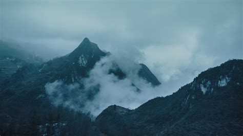 夏天的晨雾又回来了—斗山的早晨|斗山|晨雾|生态环境_新浪新闻