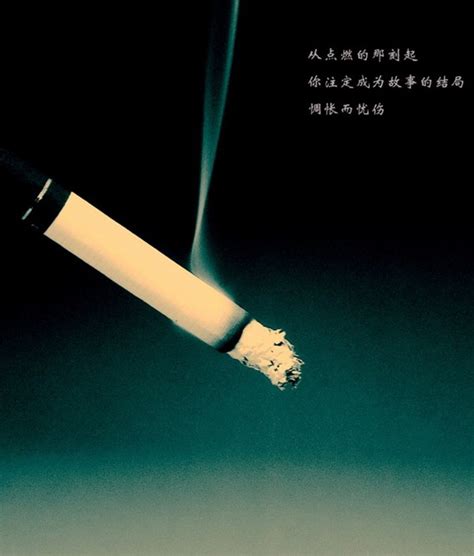 云烟软珍品 - 香烟品鉴 - 烟悦网论坛