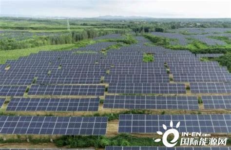 河北内丘推广“农光互补” 清洁能源助力绿色发展-国际新能源网