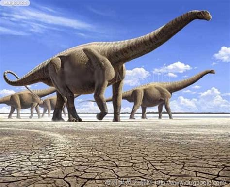 世界上最大的恐龙排名(12)